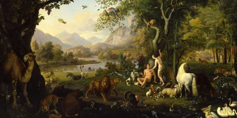 Starter Theme WordPress