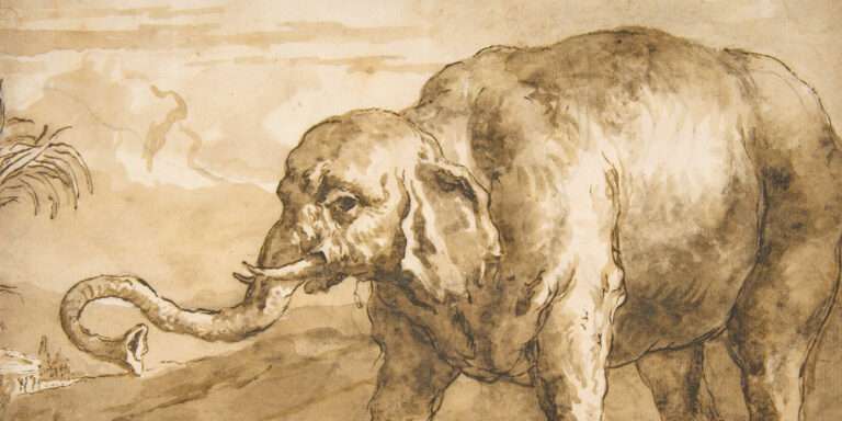 Installer et paramétrer un serveur local